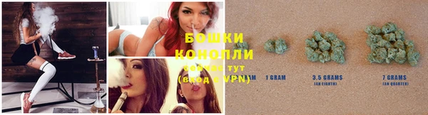 стафф Козловка