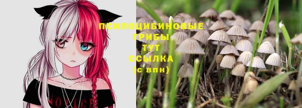 стафф Козловка