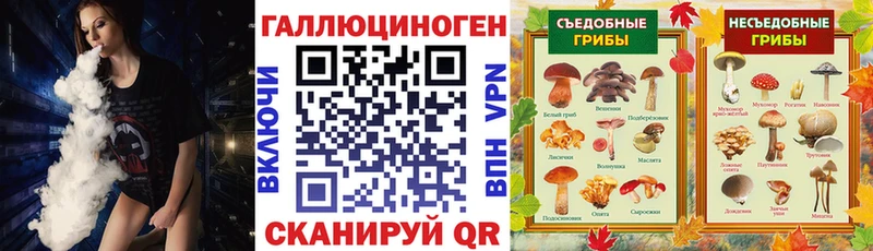 Галлюциногенные грибы Cubensis  Купить где  Будённовск 