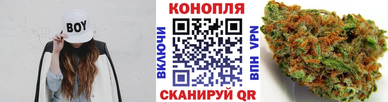 Каннабис индика  Купить закладки  Будённовск 